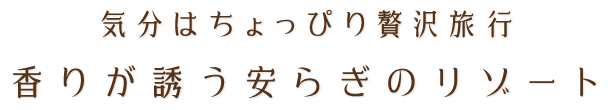 気分はちょっぴり贅沢旅行