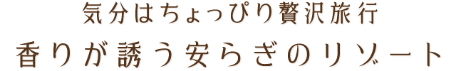 気分はちょっぴり贅沢旅行