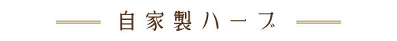 自家栽培ハーブ